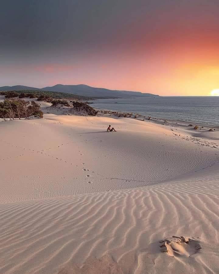 Case Vacanze Il Sogno 2 포르토 피노 객실 사진