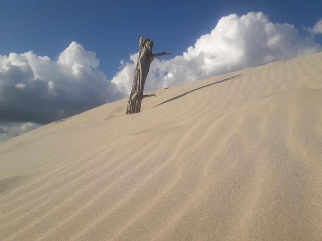 Case Vacanze Il Sogno 2 포르토 피노 객실 사진